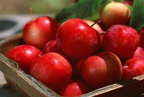 三天蘋果減肥法有效嗎