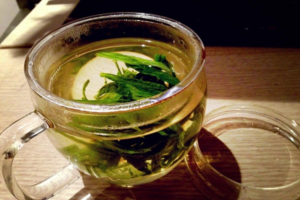 日鑄雪芽的功效與作用