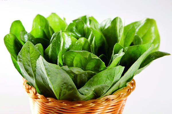 菠菜
