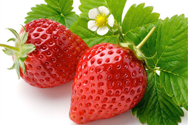 每分鐘有1人死於肺癌 防治肺癌吃這些水果好