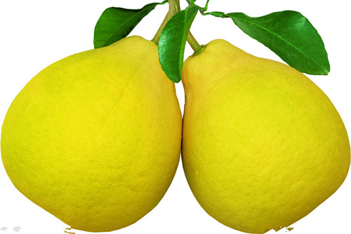 柚子是燃脂減肥鬥士 瘦身水果蜜柚