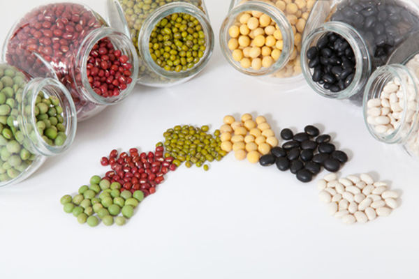 豆類食物
