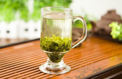 苦丁茶是真正的茶嗎