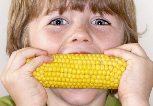 寶寶吃玉米可以提高記憶力