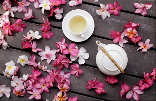 春季養生茶 各類人群的保健茶飲