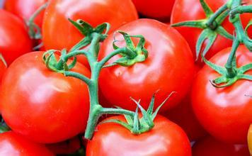 晚間西紅柿減肥方法