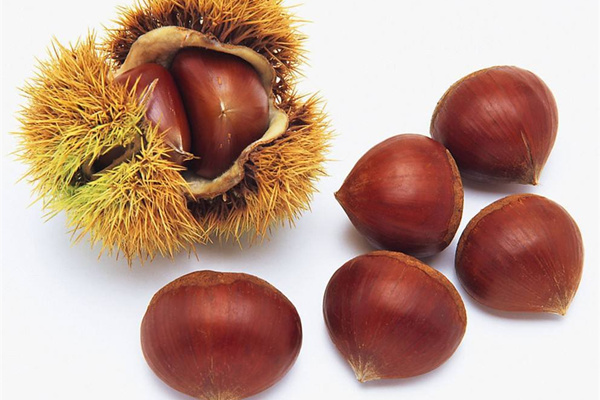 孕婦吃什麼好_孕婦應該吃什麼 板栗