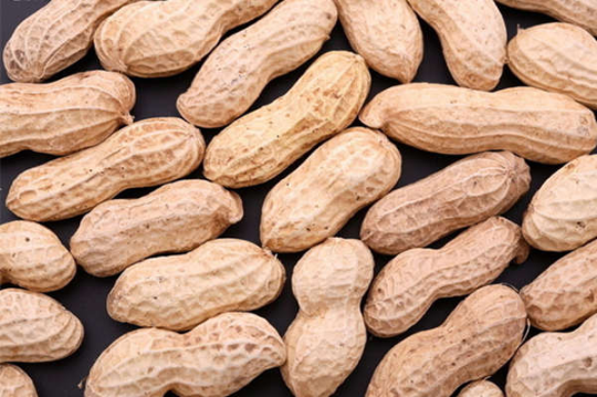 花生