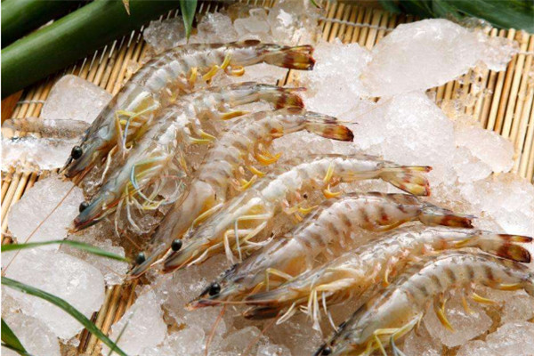 孔雀石綠的作用_食品安全的知識