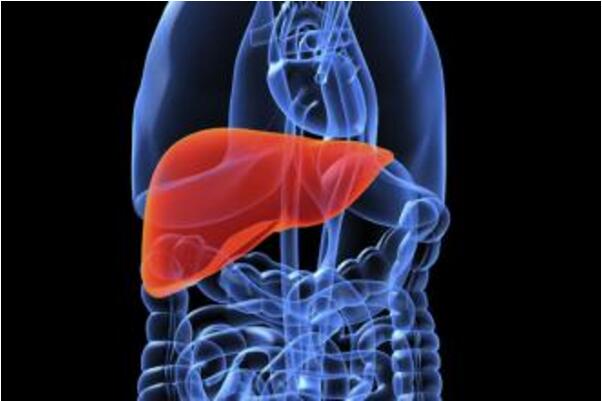 快速減肥型脂肪肝影響因素