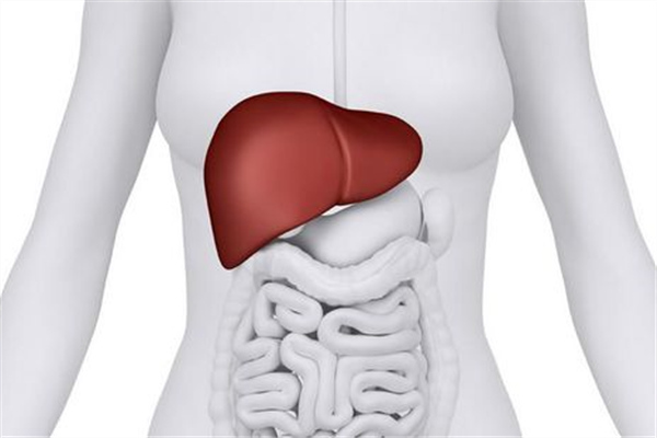 肝水腫是什麼疾病?飲食註意事項有哪些?