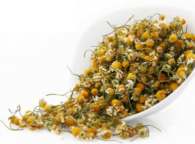 如何挑選甘菊花茶 如何挑選甘菊花茶