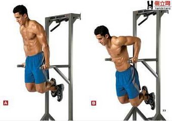 雙杠臂屈伸 你不知道的小技巧 雙杠臂屈伸 你不知道的小問題