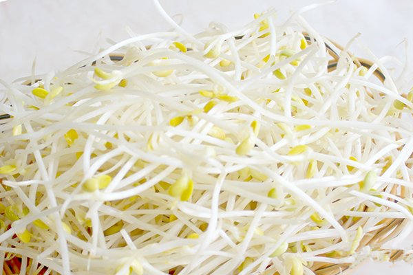 豆芽