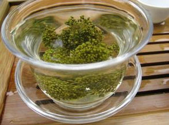 田七花茶有什麼功效