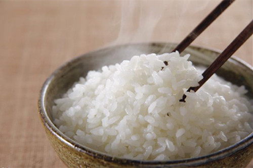 少吃米飯比少吃肉更易減肥
