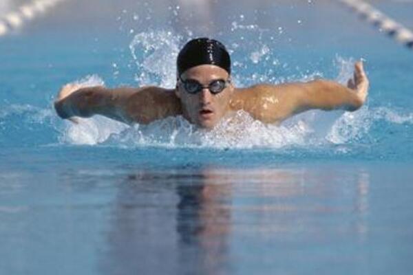 蝶泳的動作要領