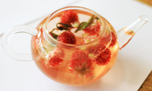 紅巧梅花茶的功效 紅巧梅花茶的功效