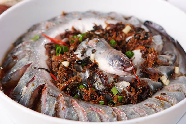 【鰻魚】海鰻魚的做法大全_鰻魚的營養價值_電鰻魚 海鰻魚的做法大全