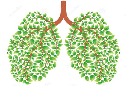肺癌晚期死前癥狀有哪些?
