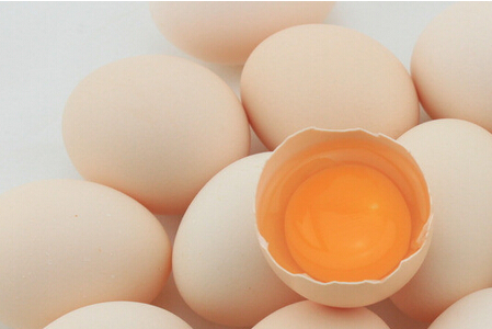 多吃雞蛋可以增強老人記憶力
