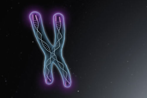 男性染色體異常的原因