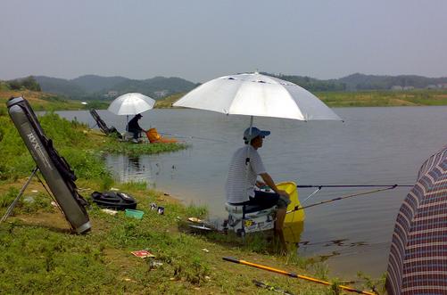 黑坑釣魚技巧大揭秘
