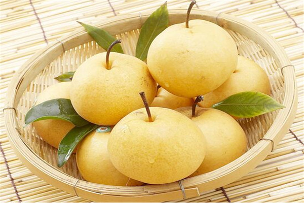 肺部感染吃什麼好?推薦四種平價食物