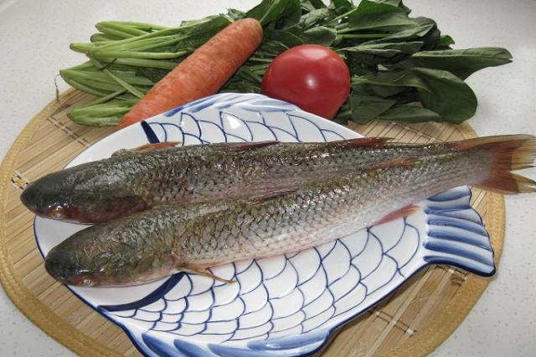 梭魚怎麼做好吃_梭魚的做法 梭魚怎麼做好吃?