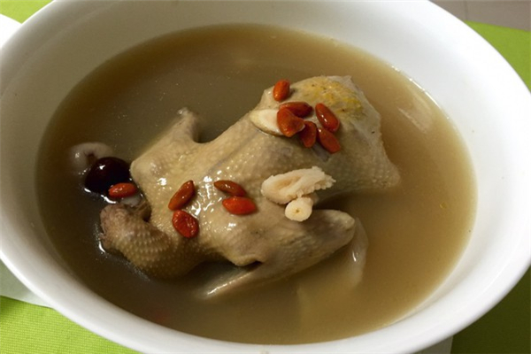 乳鴿湯的做法介紹