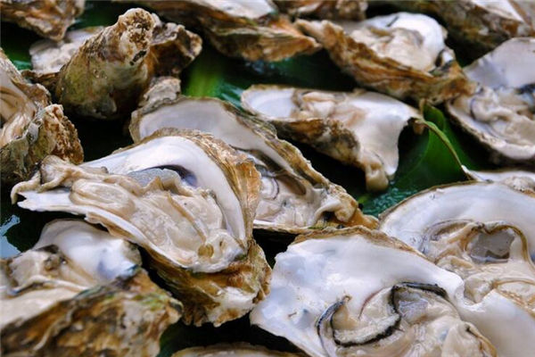 丹麥生蠔_生蠔的吃法 丹麥“生蠔為患”大使館緊急求助 中國吃貨:放著讓我們來