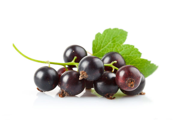 黑色水果一樣補腎 四個黑水果別錯過