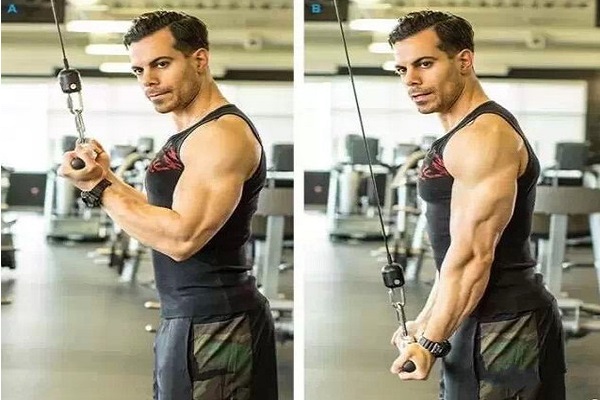 繩索下壓_繩索下壓練什麼地方的 繩索下壓鍛煉方法 繩索下壓練什麼地方的