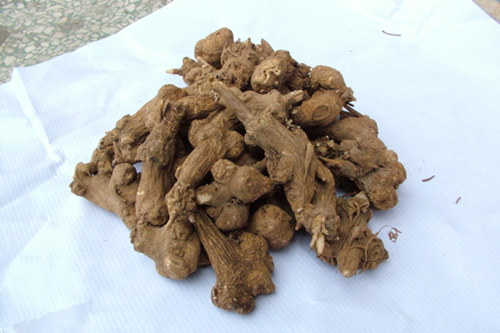 風濕性關節炎的食療粥之地黃粥