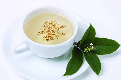 10款夏季養生茶降火消暑