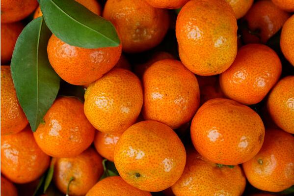 冬季吃橘子 幫你預防冠心病