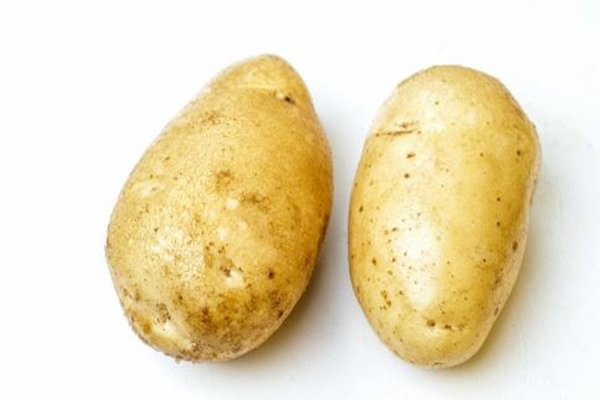 女性跳健身操吃什麼_女性跳健身操吃什麼食物好