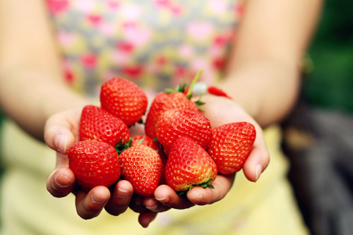 防曬水果草莓好