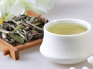 白茶可保肝護肝 細數白茶的4大功效