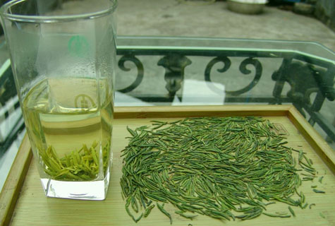 竹葉青茶可以減肥嗎？