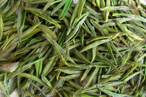 白茶花,白茶的泡法,天目湖白茶,安吉白茶,安吉白茶的功效與作用,白茶