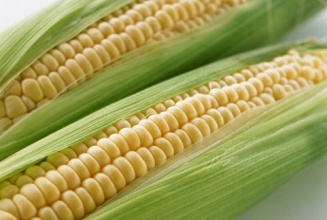玉米的減肥效果怎麼樣你知道嗎