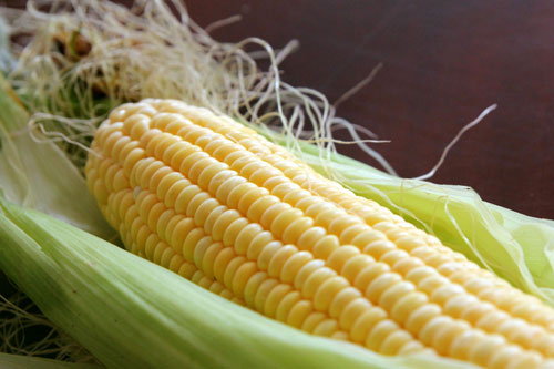 吃玉米能減肥