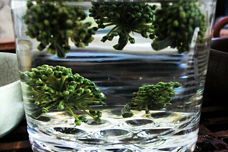 三七泡茶有什麼好處 三七泡茶有什麼好處
