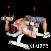 樣用啞鈴練胸肌 初學者必看 啞鈴鍛煉胸肌