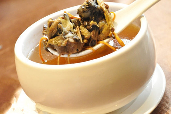 蟲草烏雞湯的燉法_冬蟲夏草_烏骨雞的營養功效 蟲草烏雞湯